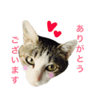 ムラカミ家のりんさん(天使)（個別スタンプ：9）
