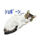 ムラカミ家のりんさん(天使)（個別スタンプ：12）