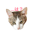ムラカミ家のりんさん(天使)（個別スタンプ：13）