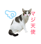 ムラカミ家のりんさん(天使)（個別スタンプ：20）