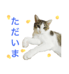 ムラカミ家のりんさん(天使)（個別スタンプ：23）