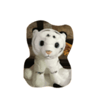 dada home is cat（個別スタンプ：8）