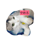 ミルキーのニャンダフルライフ（個別スタンプ：14）
