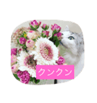 ミルキーのニャンダフルライフ（個別スタンプ：16）