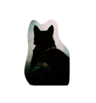 イロイロねこ（個別スタンプ：7）