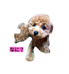 ルアナのひとこと❤（個別スタンプ：2）