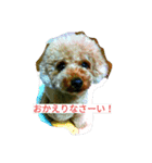 ルアナのひとこと❤（個別スタンプ：4）