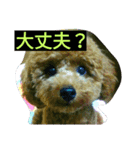 ルアナのひとこと❤（個別スタンプ：6）