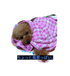 ルアナのひとこと❤（個別スタンプ：7）