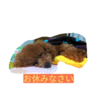 ルアナのひとこと❤（個別スタンプ：8）