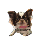 Mha3Tua（個別スタンプ：7）