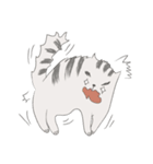 Sensitive cat Bbangu（個別スタンプ：7）
