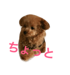 rovin（個別スタンプ：3）