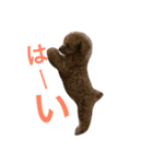 rovin（個別スタンプ：5）