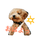 rovin（個別スタンプ：9）