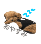 rovin（個別スタンプ：10）