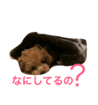 rovin（個別スタンプ：14）