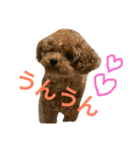 rovin（個別スタンプ：15）