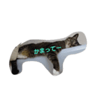 t...m（個別スタンプ：5）