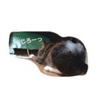 t...m（個別スタンプ：12）