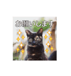 Meow Meow Not Say - JP Animoji（個別スタンプ：9）