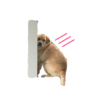 Luntao1（個別スタンプ：8）
