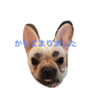 FrenchFuku（個別スタンプ：1）