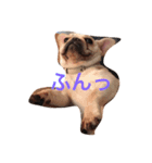 FrenchFuku（個別スタンプ：7）