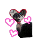 today choco（個別スタンプ：2）