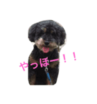 today choco（個別スタンプ：3）