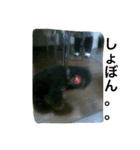 today choco（個別スタンプ：4）