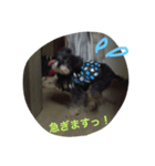 today choco（個別スタンプ：5）