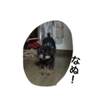 today choco（個別スタンプ：6）