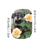 today choco（個別スタンプ：7）