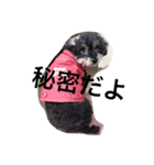 today choco（個別スタンプ：8）