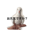today chiro（個別スタンプ：5）