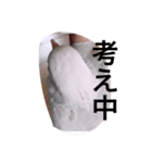 today chiro（個別スタンプ：7）