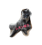lililoa（個別スタンプ：4）