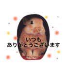 うさぎのララさん。（個別スタンプ：4）