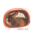 うさぎのララさん。（個別スタンプ：7）