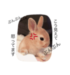 うさぎのララさん。（個別スタンプ：13）