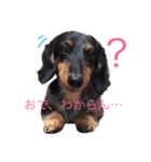 ビーとラー（個別スタンプ：2）