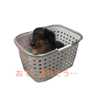 ビーとラー（個別スタンプ：4）
