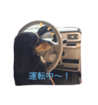ビーとラー（個別スタンプ：6）