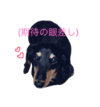 ビーとラー（個別スタンプ：7）