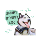 mr.nif husky（個別スタンプ：9）
