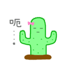 ミス・サボテン毎日（個別スタンプ：23）
