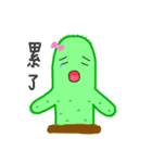 ミス・サボテン毎日（個別スタンプ：31）
