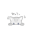 あるにゃ【第1弾】（個別スタンプ：5）
