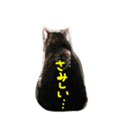 うち猫ゴモラ（個別スタンプ：8）